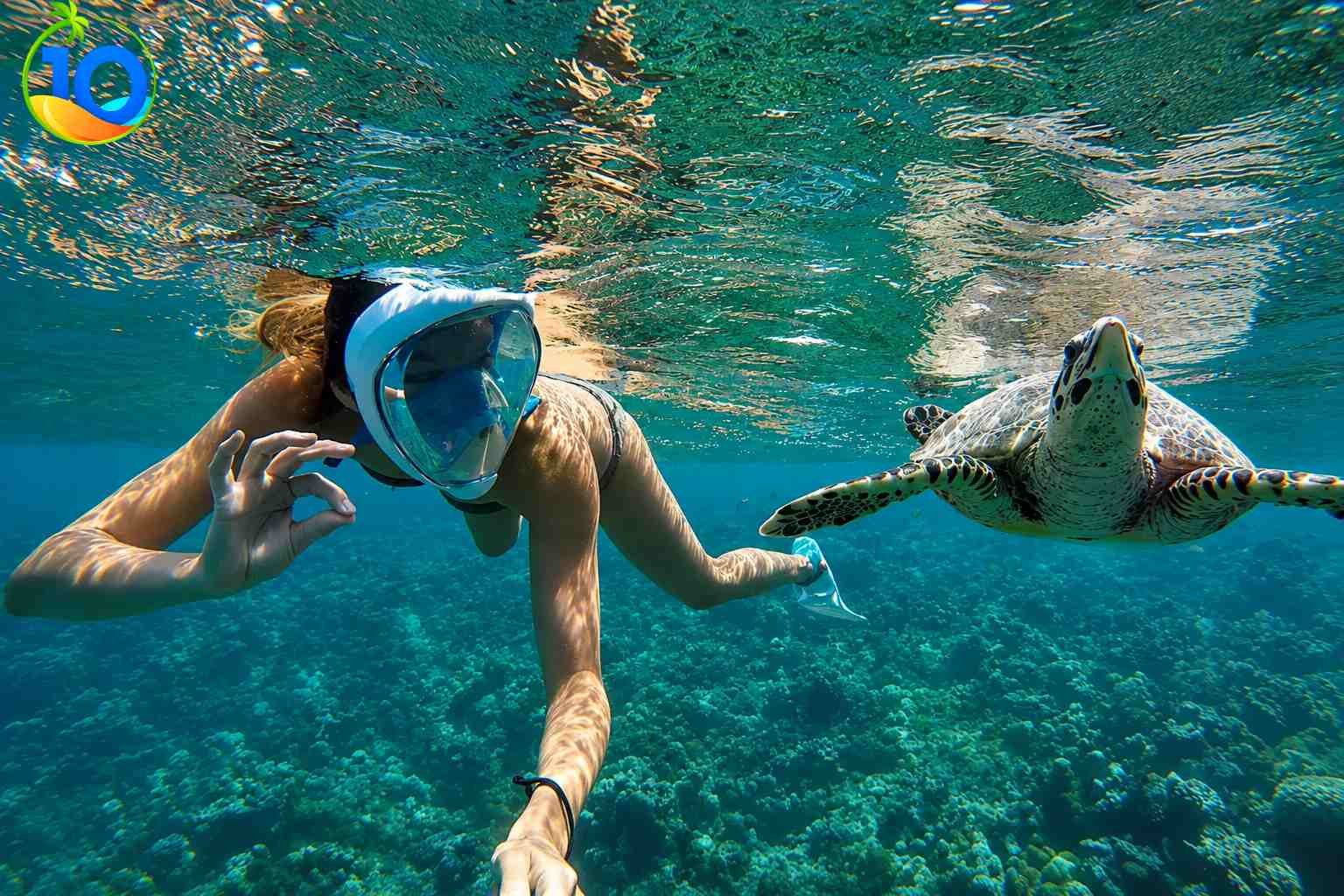 Abu dabab snorkeling trip from Hurghada