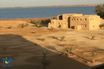 Buildings in Shali in Siwa Oasis