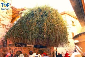 Burning Bush St. Catherine Monastery From Sharm El Sheikh