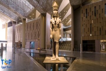 Cairo Tour Marsa Alam plane Grand Egyptian Museum