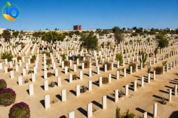 El-Alamein-Cemetry-From-Alexandria