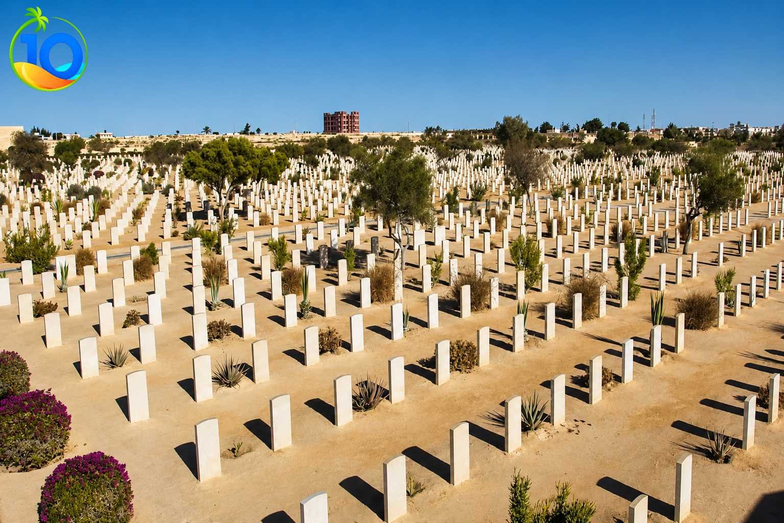 Alamein Private Tour From Alexandria