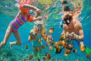 Hula Hula Island Snorkeling