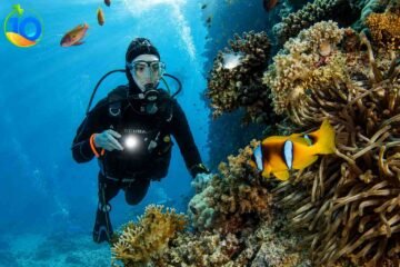 Hurghada-Diving-Day-Tour