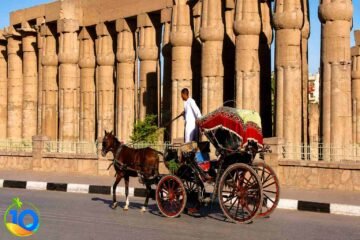 Luxor-Attractions-City-Tour-_-Luxor-Horse-Carriage-Trip.