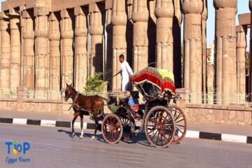 Luxor Horse Carriage Trip