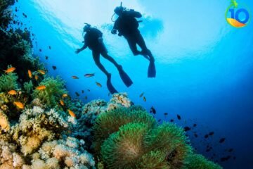Marsa-Alam-scuba-diving-day-tour