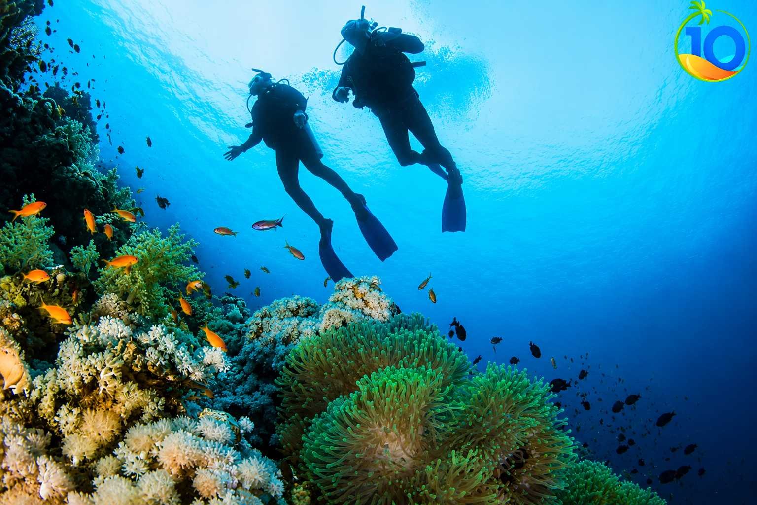 Marsa Alam scuba diving day tour