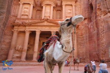 Petra Tour from Sharm El Sheikh