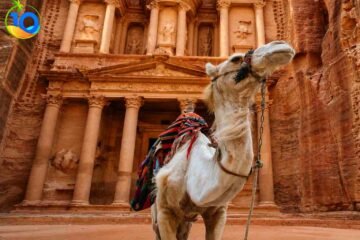 Petra-Tour-from-Sharm-El-Sheikh-Luxury-Trip-to-Petra
