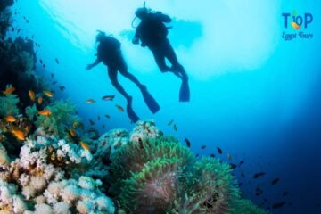 Scuba Diving Day Trip in Marsa Alam