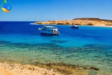 Snorkeling-Trip-to-the-White-Island-and-Ras-Mohammed