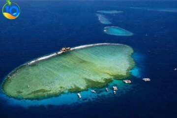 Tiran-Island-Snorkeling-Trip-Sharm-El-Sheikh
