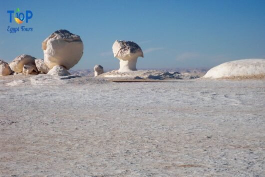 White Desert and Bahariya Oasis from Cairo-Mushroom Rock at White Desert