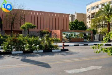 Luxor-attractions-Day-trip-Mummification-and-Luxor-Museum
