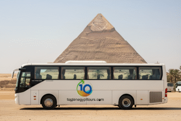 Full Day Trip from Hurghada to Cairo By Bus