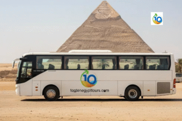 Full Day Trip from Hurghada to Cairo By Bus