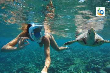 Abu dabab snorkeling trip From Hurghada
