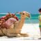 Best Tours And Attractions For Kids