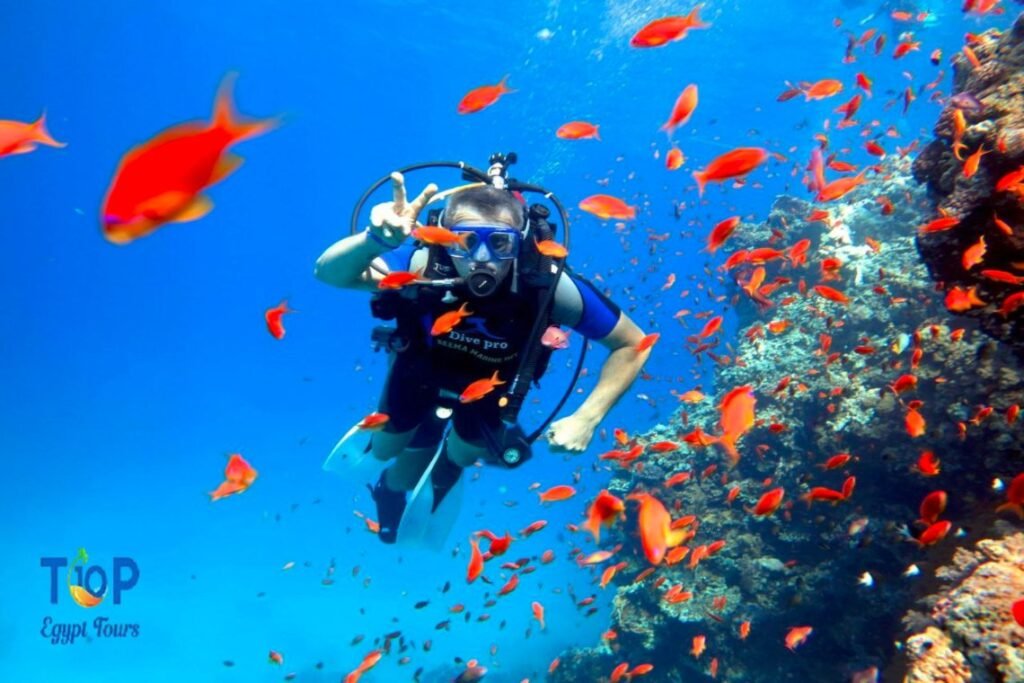 Scuba Diving Hurghada | Under Water Of The Red Sea