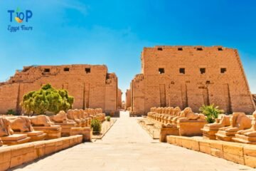 Luxor East Bank Tour _ Avenue Of sphinxes