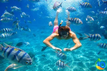 Snorkeling-Trip-To-El-Sokhna-From-Cairo