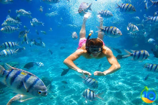 Snorkeling-Trip-To-El-Sokhna-From-Cairo