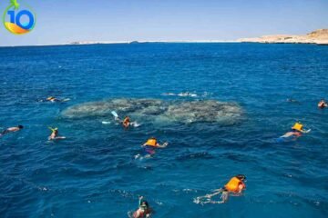 Orange-Bay-Snorkeling-Tour-from-Safaga