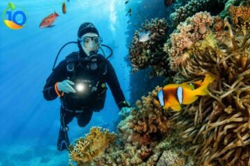 Red-Sea-Diving-from-Safaga
