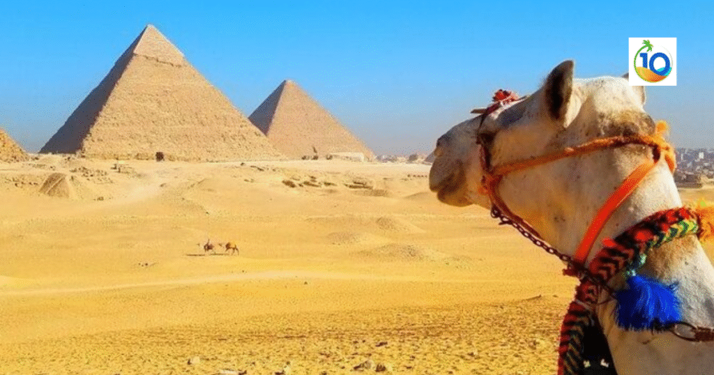 Tips for a Day Trip to Cairo from Hurghada