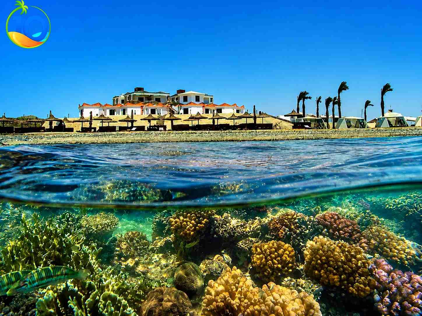 Safaga Day tours